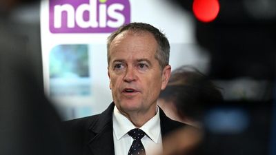 Government brings forward planned NDIS review, urges bigger focus on disability scheme's benefits