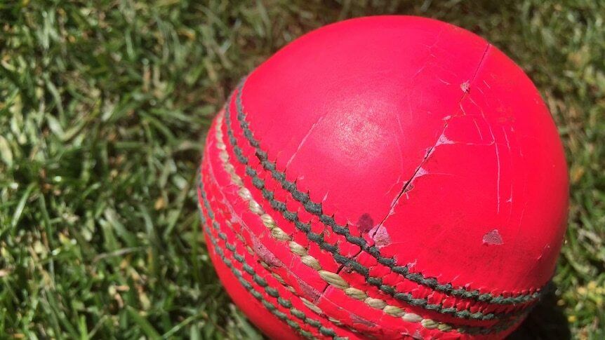 South Australian cricket umpire arrested for…