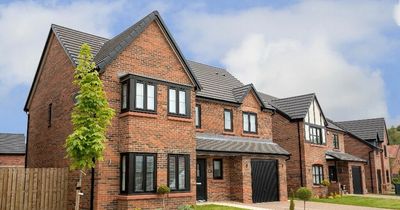 Bellway reports record revenue but signals slowdown in housing market