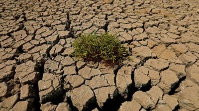 FAO, WFP: Iraq One of the Countries Most Affected by Climate Change