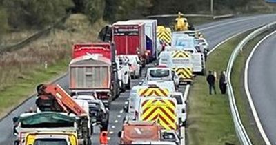 M8 van crash leaves pedestrian fighting for life as police lockdown busy motorway
