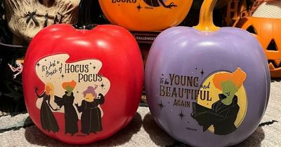 Shoppers are going crazy for Poundland's new Halloween Hocus Pocus range