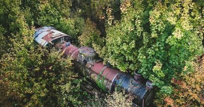 Man finds hidden 'Harry Potter Hogwarts Express-style' train from 1950s in forest