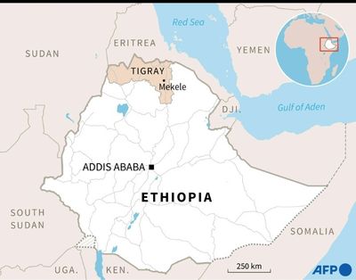 Ethiopian and Eritrean forces seize key Tigrayan city, say rebels