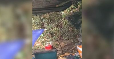 Woman found living in hedge for three years so cat wouldn't be alone