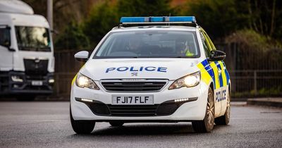 Suspected drug dealers named after Audi pulled over by police