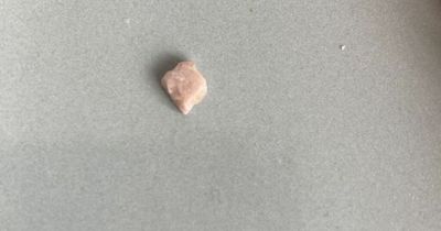 Aldi shopper refuses to buy steak bake ever again after finding 'stone' inside one