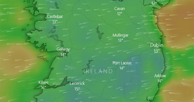 Met Eireann issues Yellow weather warning for Dublin with risk of 'disruption' in brutal forecast