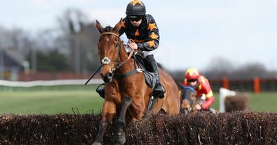 Do Your Job on course for Monet's Garden Old Roan Chase at Aintree Racecourse