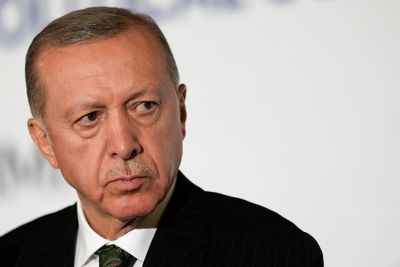 Turkey's opposition seeks stay of 'disinformation' law