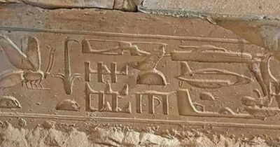 Egyptian hieroglyphs 'proof' of time travel after people spot 'helicopter and plane'