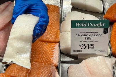 Texas importer sues government in fish feud at end of world