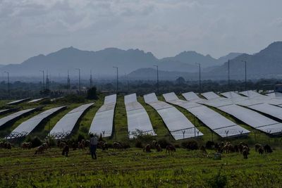 India-led alliance bats for diverse solar energy market