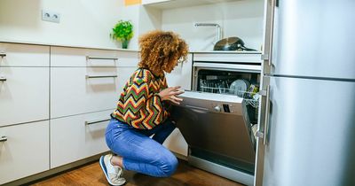 Two peak hours when you should avoid using dishwasher or washing machine