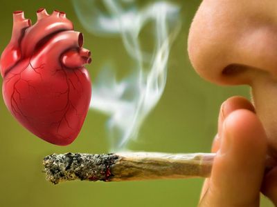 Did Marijuana Cause My Arrhythmia? New UCSF Study On Cannabis & AFib Provides Some Answers