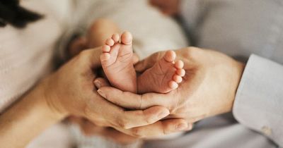 Babies dying needlessly as NHS failed to learn from maternity scandals, report finds