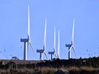 Firms urge bigger climate ambition: survey