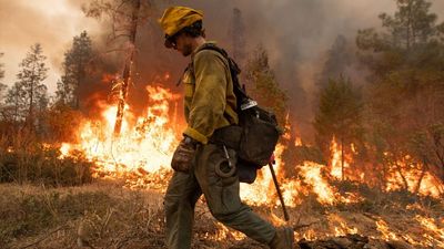 Worsening California wildfires are a major carbon emissions problem