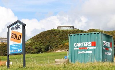 Carter Holt constrains timber supply for 18 months, despite assurances to Govt
