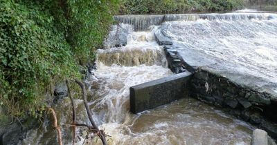 Damaged Edinburgh weir to get fish migration ramp after river life threatened