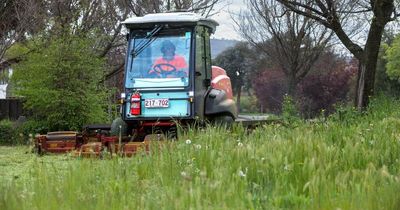 Why Canberra's mowers can't keep up with our fast-growing grass