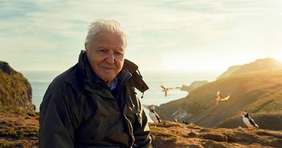 BBC's top facts as it turns 100 – including iconic David Attenborough moment captured in error