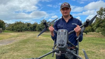 Avocado farmers turn to drone tech to measure transpiration, refine irrigation and boost yields