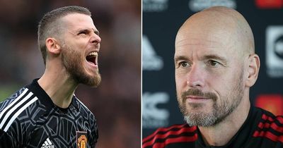 David de Gea's future in doubt as Erik ten Hag makes honest Man Utd admission