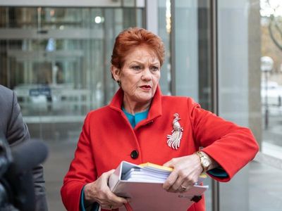 Pauline Hanson to pay $250k for defamation