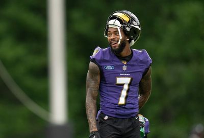 NFL fans were convinced that Ravens’ Rashod Bateman wasn’t happy with addition of DeSean Jackson