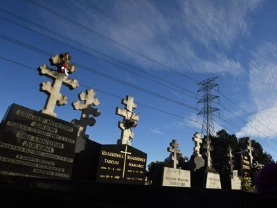 Death rate remains below pre-COVID levels