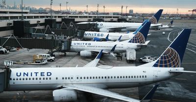 Airport staff remove snake on plane after panicked passengers 'shriek' in fear