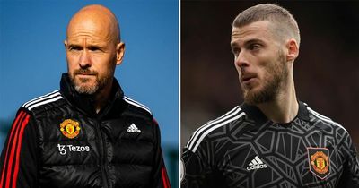 David de Gea's confession shows what Erik ten Hag has changed at Man Utd