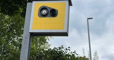 Residents set up fake speed camera to slow down drivers - using bird box