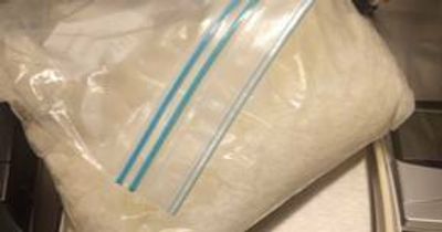 Wayne Harrington admits supplying nearly four kilograms of ice in 'significant' Hunter drug bust