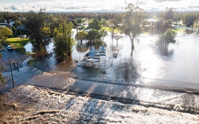 Body of missing man found in flood waters at Hillston in western NSW