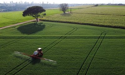 Pesticide use around world almost doubles since 1990, report finds