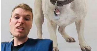 Vet goes viral as he lists 5 dog breeds he would never own