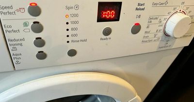 Cost of living: Expert outlines the times you should never use your washing machine
