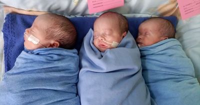 Dad's fight to bring triplets home after surrogacy service demands extra £34,000 first