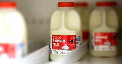 How prices of everyday food items like milk, cheese and bread have risen in price in the past year