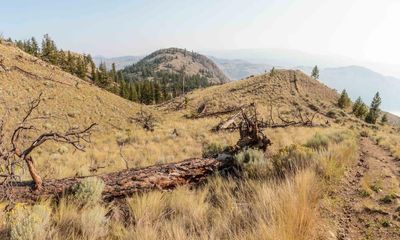 Severe drought torments British Columbia, a year after devastating floods