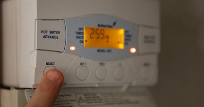 How to get money-off your next energy bill - support grants with British Gas, Shell, EDF, E.ON and more