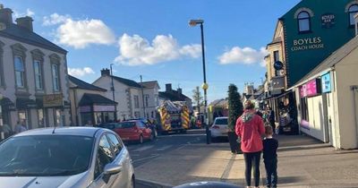 Crumlin crash appeal after female pedestrian left in critical condition