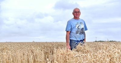 'The only thing I ever wanted to do was farm': The family-run farm that could see their land turned into a business park