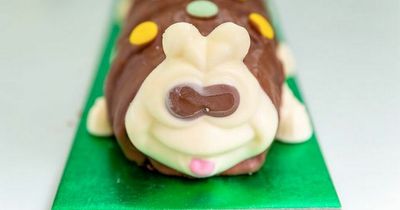 A brand new Colin The Caterpillar cake is available from M&S - and fans are going to love it