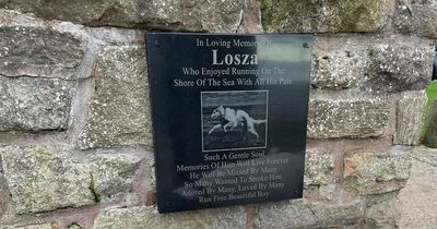 East Lothian dog owners rally together to buy touching memorial for popular pooch