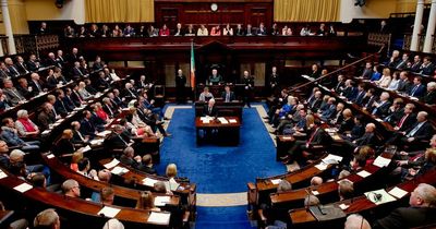 Dáil literally leaking as torrential rain comes through roof as TDs give speeches