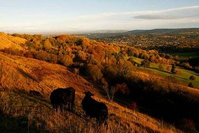 How much of England is protected for nature? Report shows government may fail to meet 2030 target