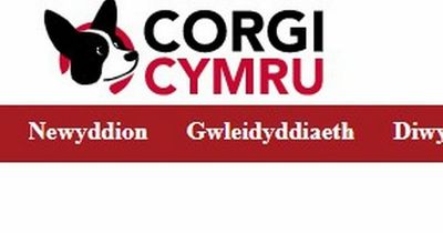 Welsh language news service Corgi Cymru to close after five months